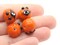 4 19mm Orange and Black Jack-O-Lantern Pumpkin Lampwork Glass Halloween Beads